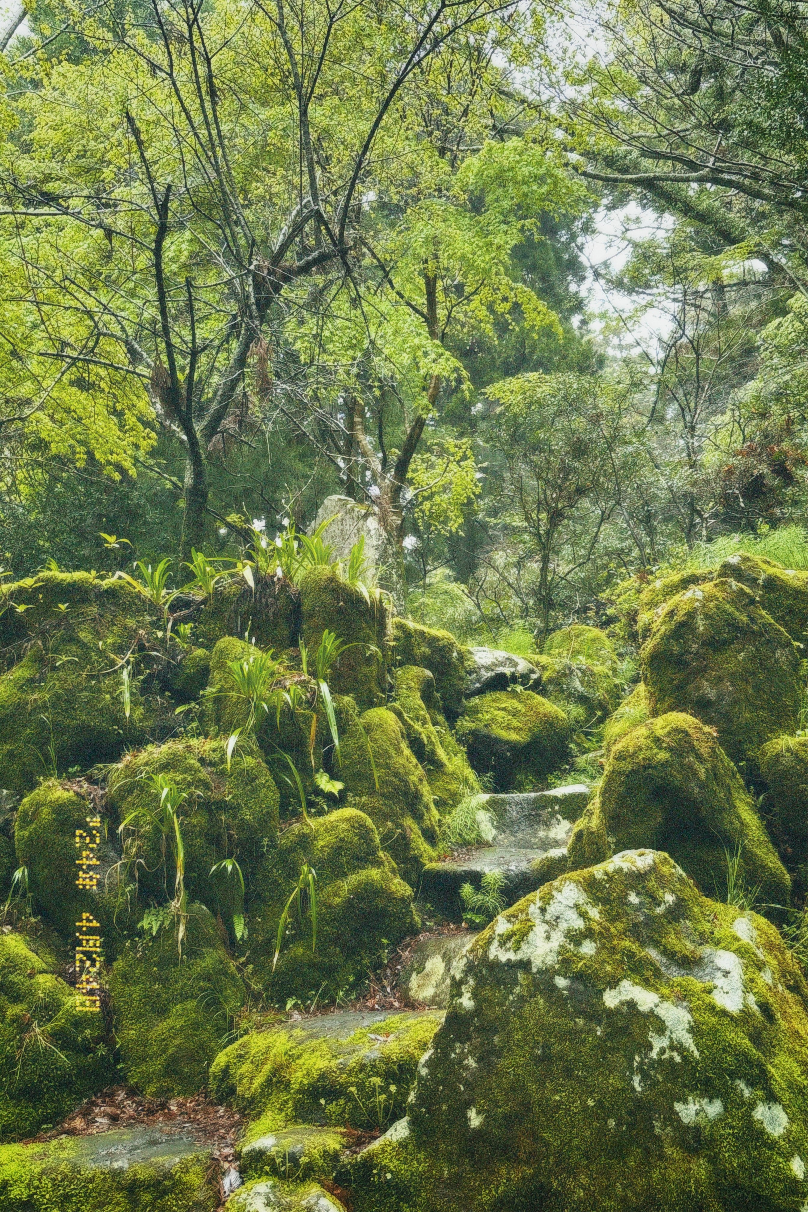 Hakone Park